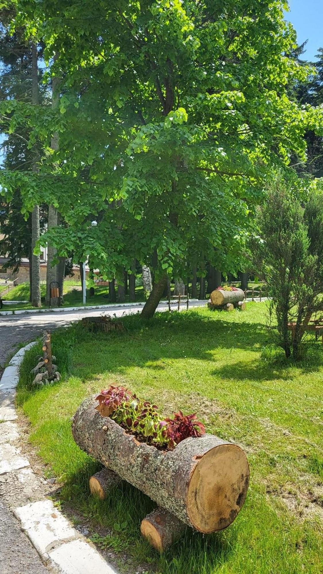 Pm Services Borovets Garden Apartments Zewnętrze zdjęcie