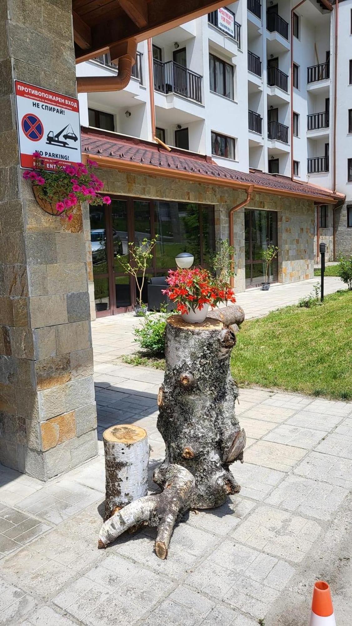 Pm Services Borovets Garden Apartments Zewnętrze zdjęcie